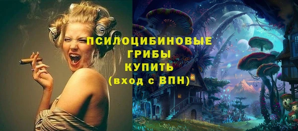 кокс Каменка