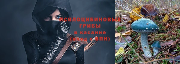 кокс Каменка