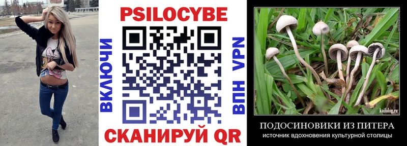где купить наркотик  KRAKEN как войти  Псилоцибиновые грибы ЛСД  Пушкино 